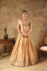 Gold Tissue jacquard Embroidered Lehenga Choli