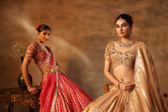Gold Tissue jacquard Embroidered Lehenga Choli