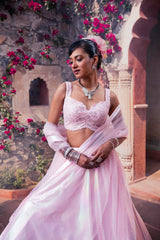 Blush Pink Shimmer Organza Lehenga Set