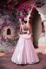 Blush Pink Shimmer Organza Lehenga Set