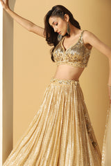 Metallic Stripe Embroidered Lehenga