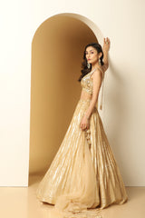 Metallic Stripe Embroidered Lehenga