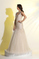 One Piece Net Gather Gown | Stylish Party Wear Gown for Women