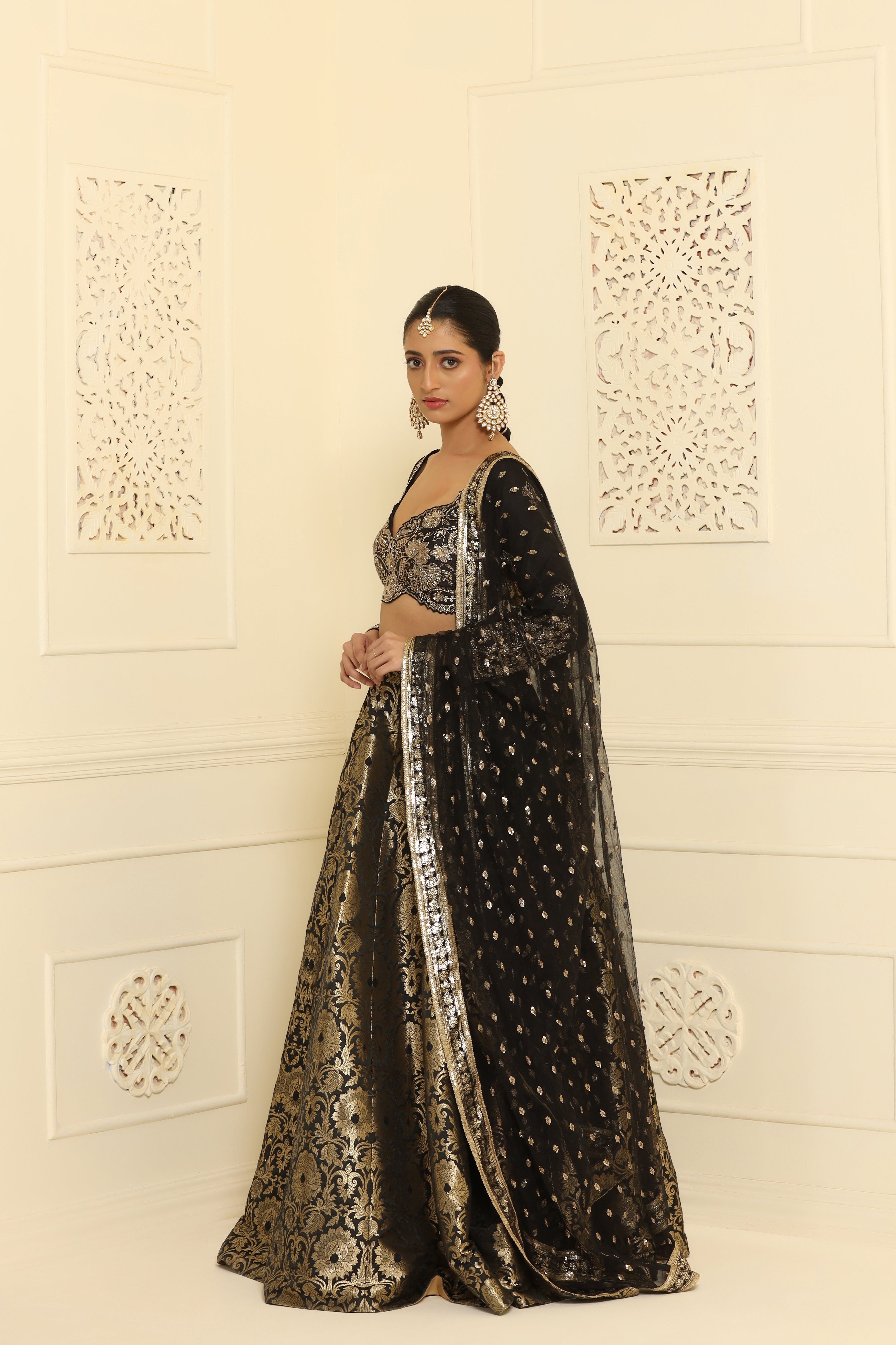 Nakshi sequin, dabka mixed hand crafted choli and banarsi brocade lehenga
