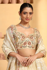 Nakshi, sequin cutdana resham mixed hand crafted choli plus Tissue jacquard lehenga with border