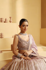 Nakshi and sequin work choli with a cutwork Tissue Lehenga