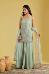 Pista Net Embroidered Gharara Set