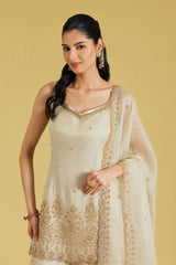 Beige Tissue Embroidered Gharara Set