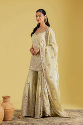 Beige Traditional Motif Embroidered Garara Set