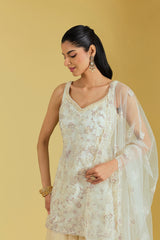 Ivory Net Embroidered Gharara Set