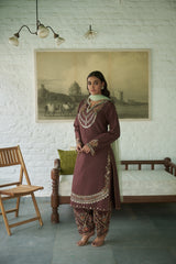 Brown Silk Net V-neck Embroidered Kurta Salwar Set