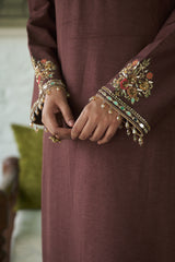 Brown Silk Net V-neck Embroidered Kurta Salwar Set