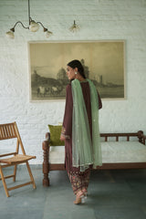 Brown Silk Net V-neck Embroidered Kurta Salwar Set