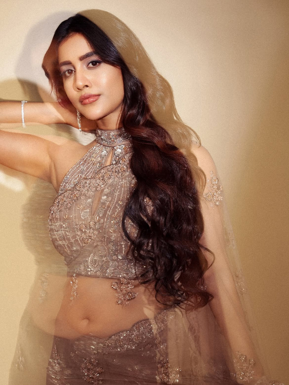 Nabha Natesh