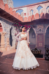 Beige Net & Viscose Georgette 3D Floral Embroidered Lehenga Set