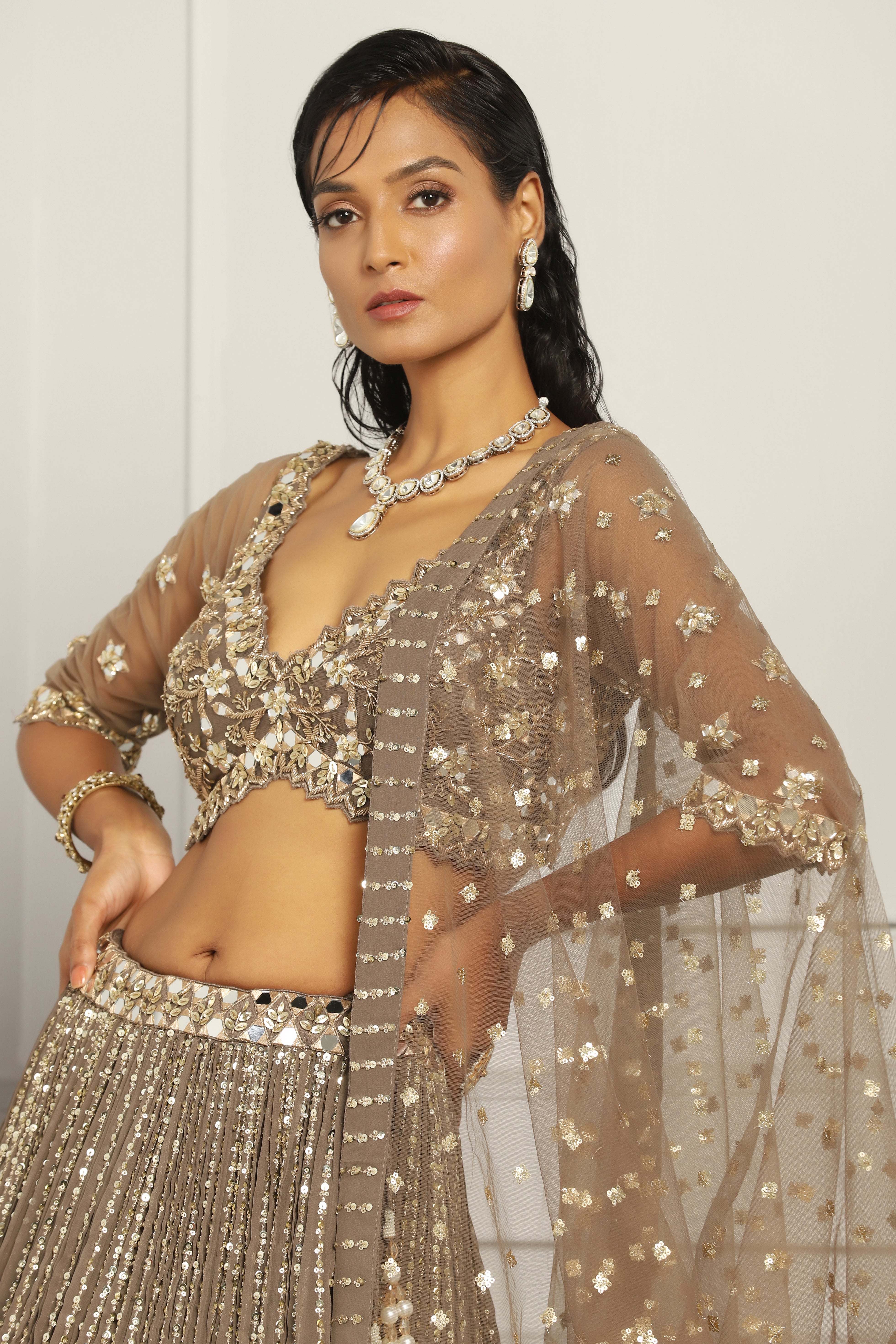 Sequin Embroidered Lehenga