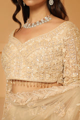 Net cutdana and beads work saree