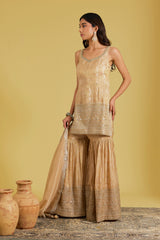 Peach Tissue Embroidered Gharara Set