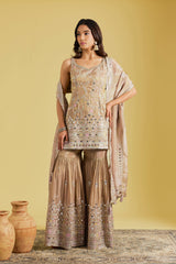 Light brown Traditional Motif Embroidered Garara Set.