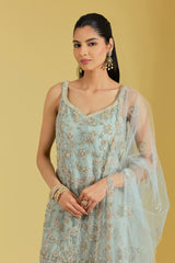 Pista Net & Georgette Embroidered Sharara Set