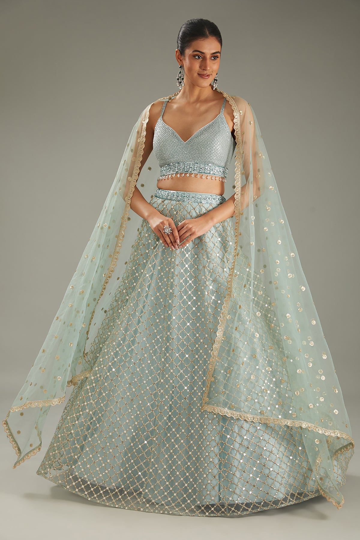 Sky Blue Net Zari Embroidered Lehenga Set